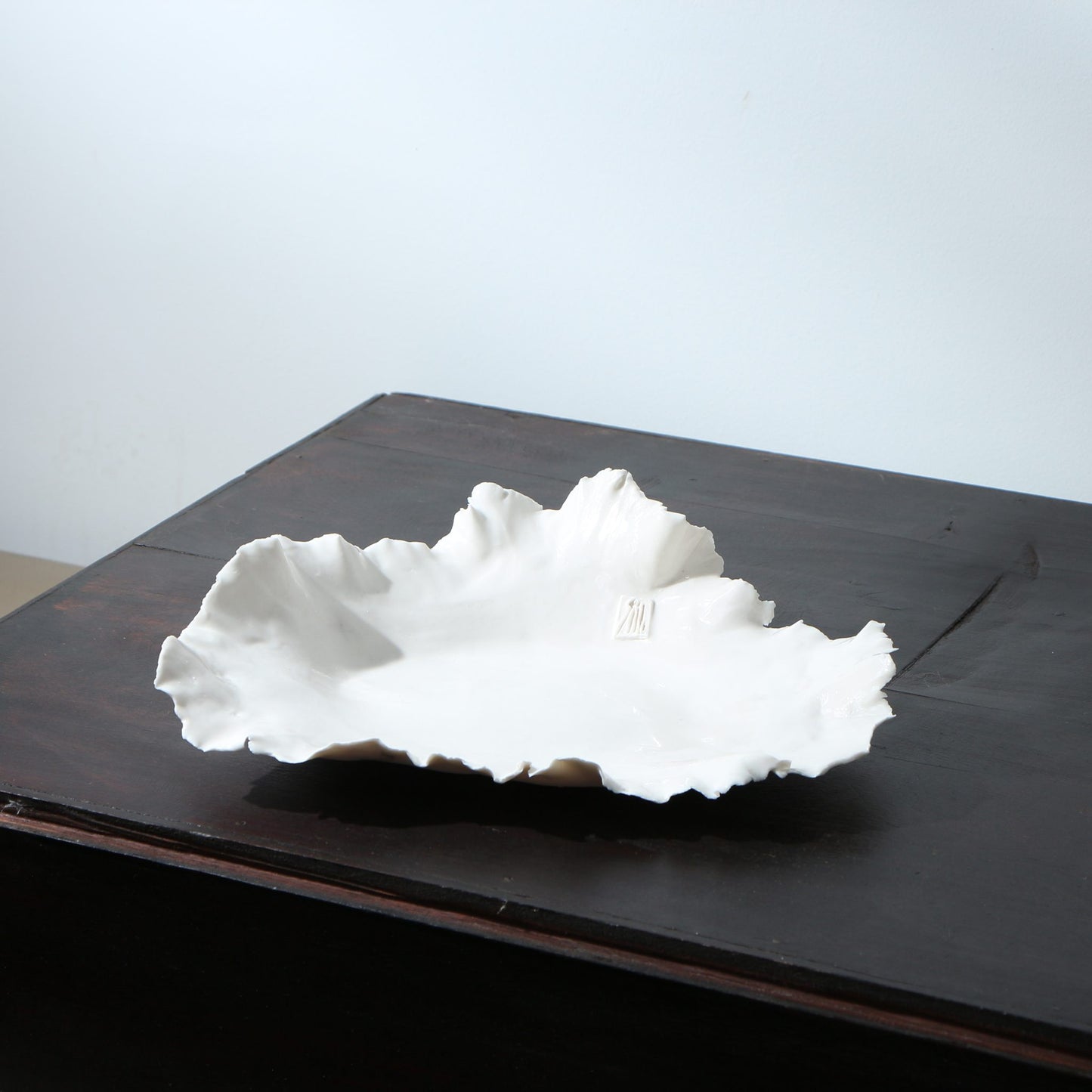 Plat en porcelaine déchirée évasé