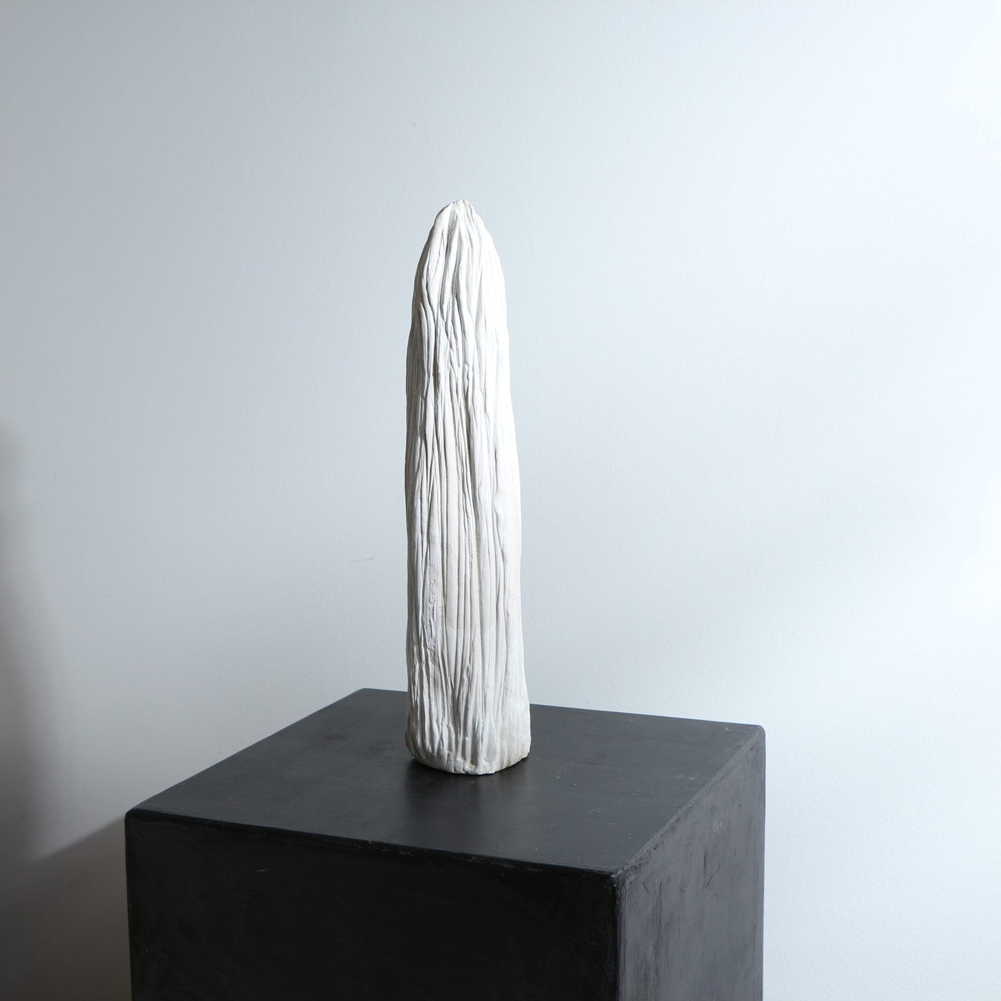 Sculpture de cactus en grès – strié