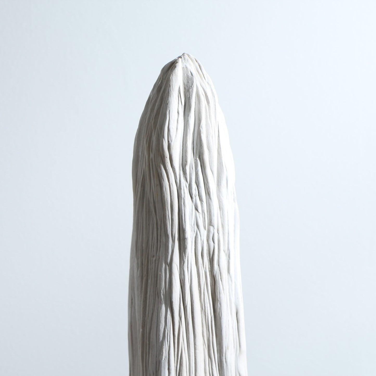 Sculpture de cactus en grès – strié