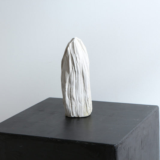 Sculpture de cactus en grès – strié