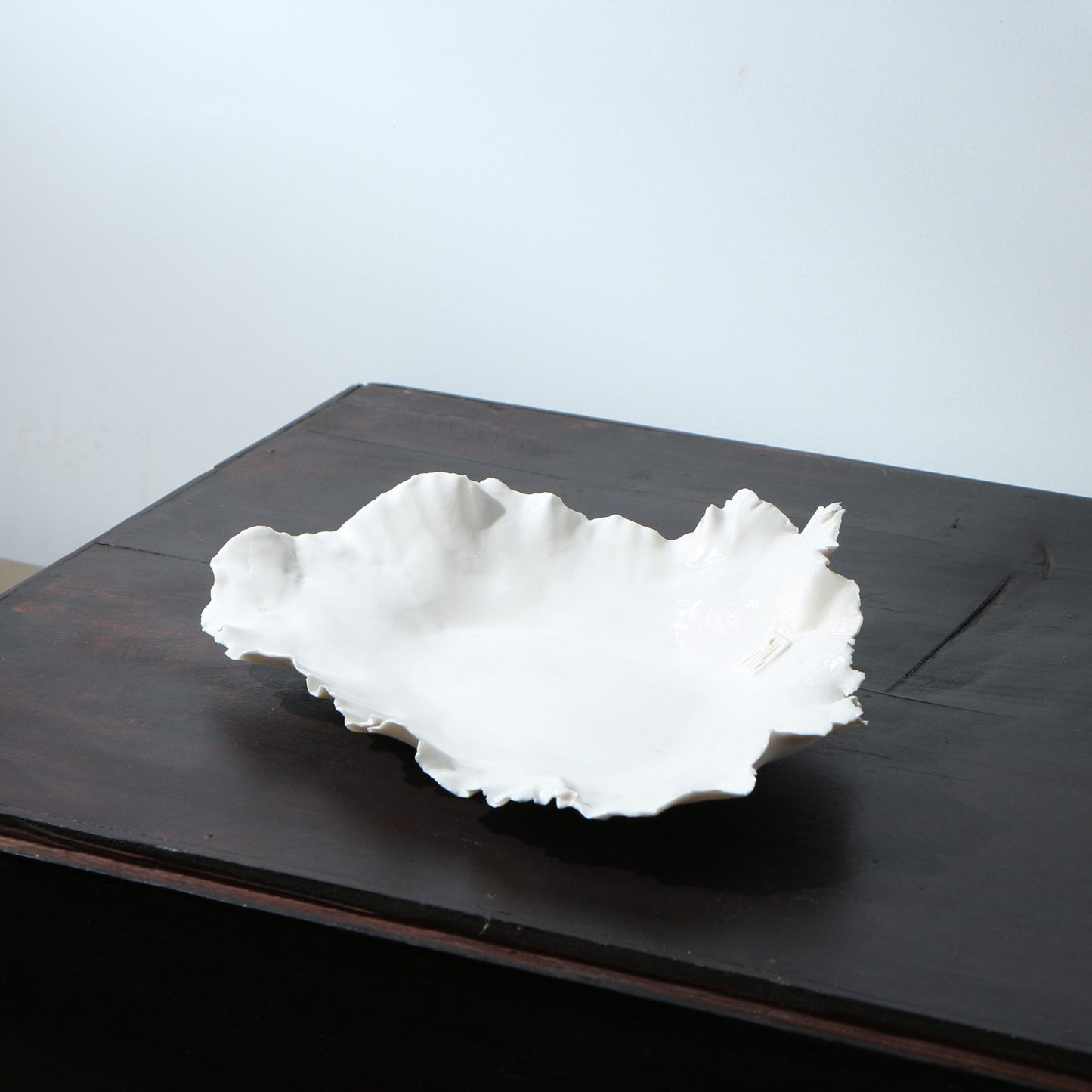 Plat en porcelaine déchirée évasé