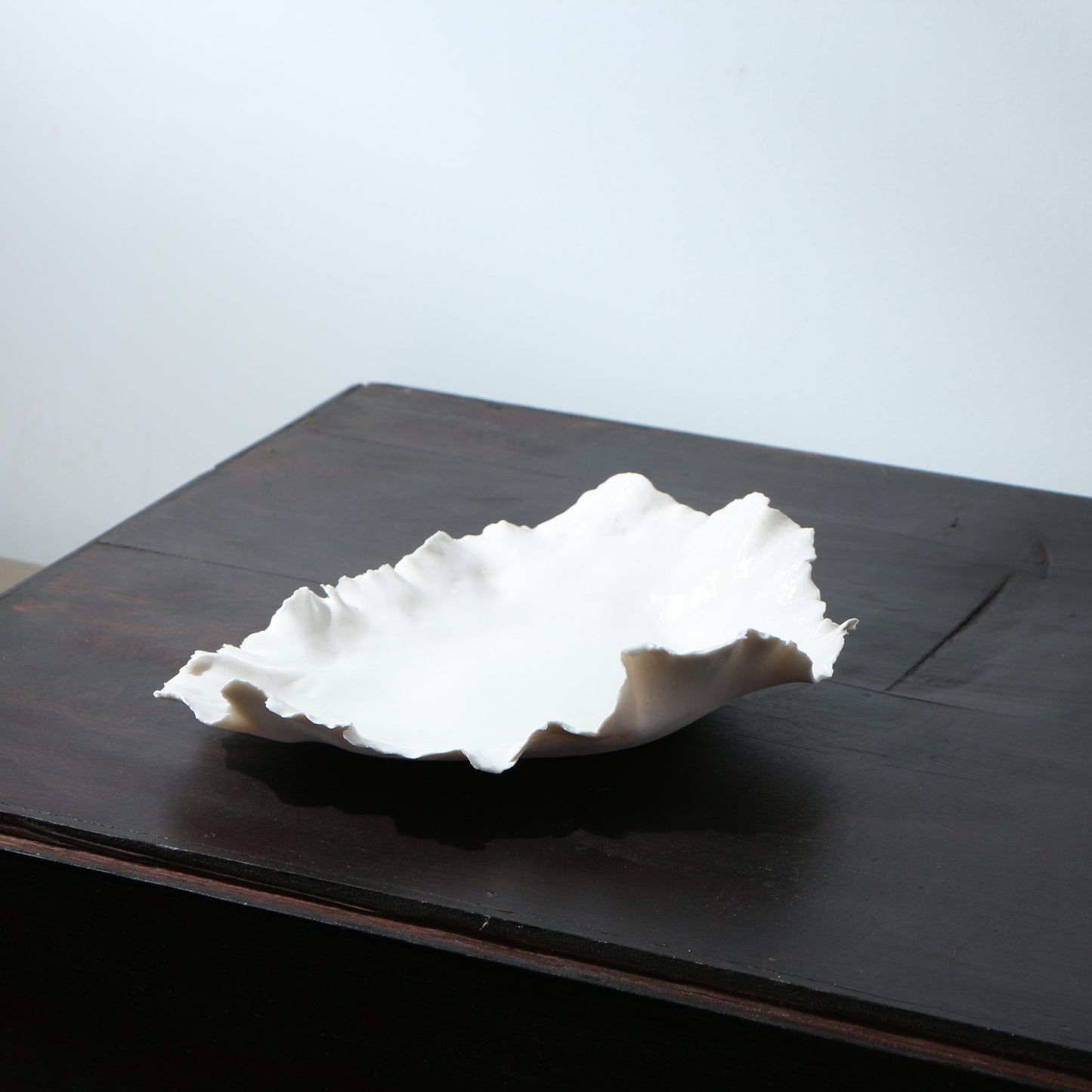 Plat en porcelaine déchirée évasé
