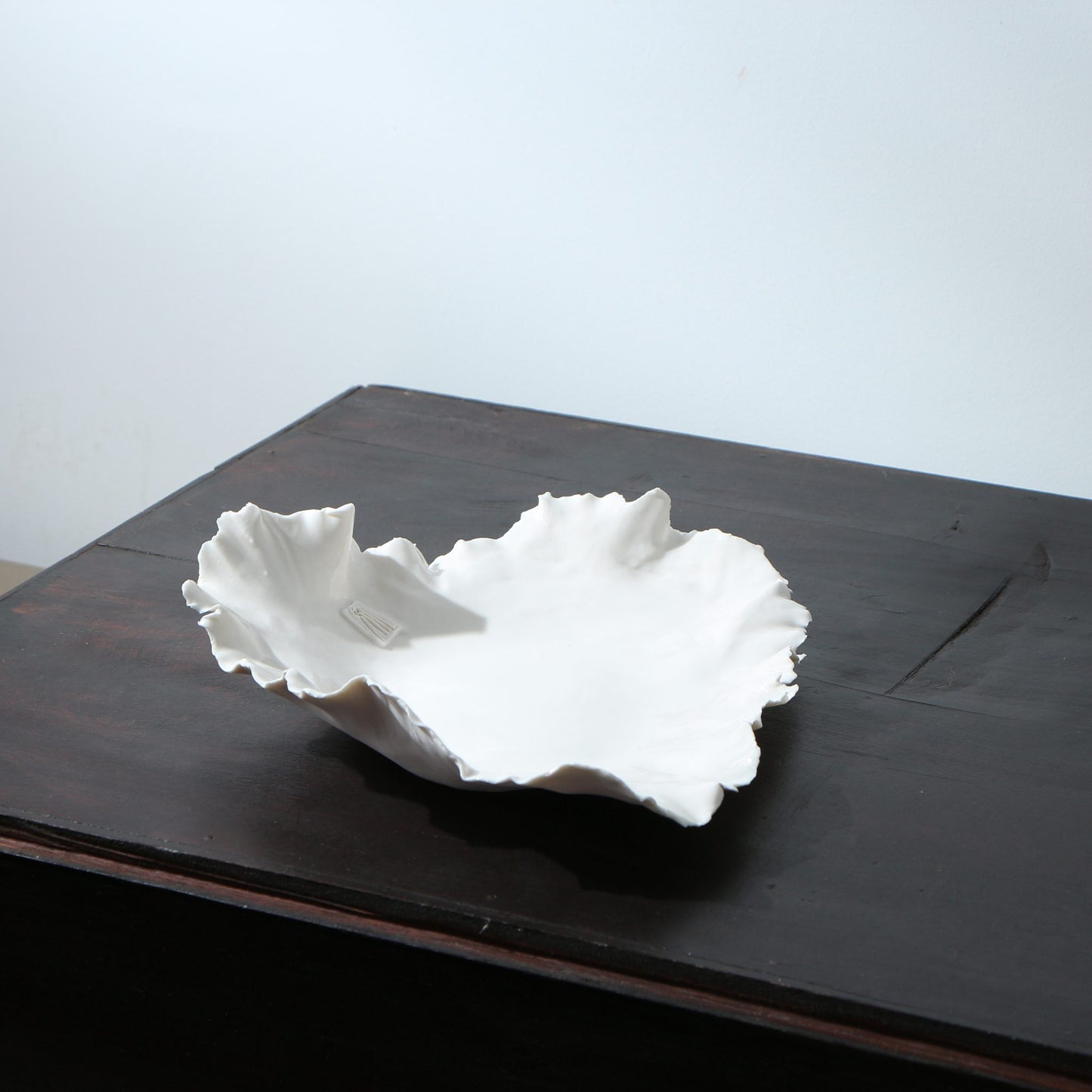 Plat en porcelaine déchirée évasé